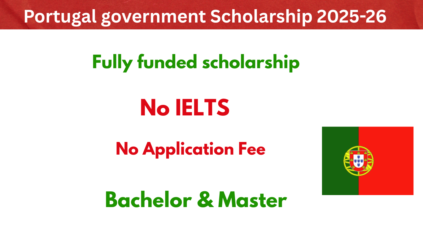 Portugal government scholarship